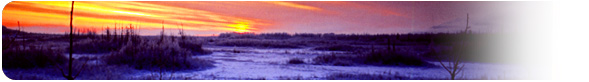 12月 ─ 雪原 白夜のアラスカ